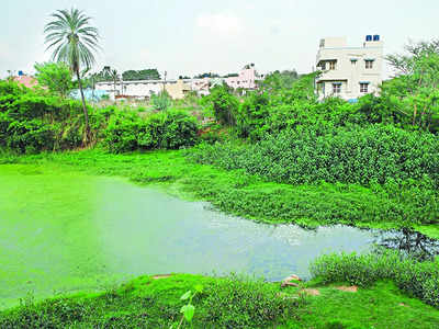 Arkavathi river can’t seem to pass test