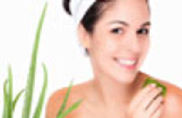 Everything about aloe vera