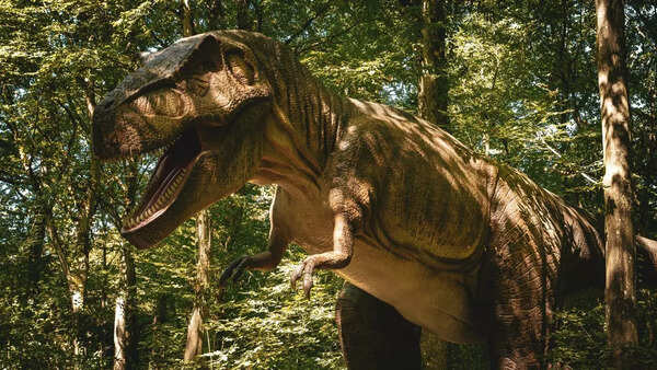 Cartoon character Dooly comes to life? South Korea finds rare ‘baby’ dinosaur from 100 million years ago