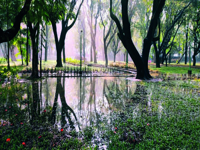 Story behind the photo: Bengaluru, mirrored