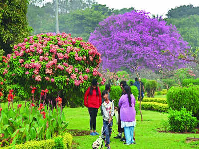 Tap The Chatter: Which public place in Bengaluru helps you unwind and chill on a stressful day?