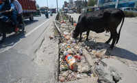 Monsoon 2 months away, 350km of stormwater drains in Gurgaon still not cleared