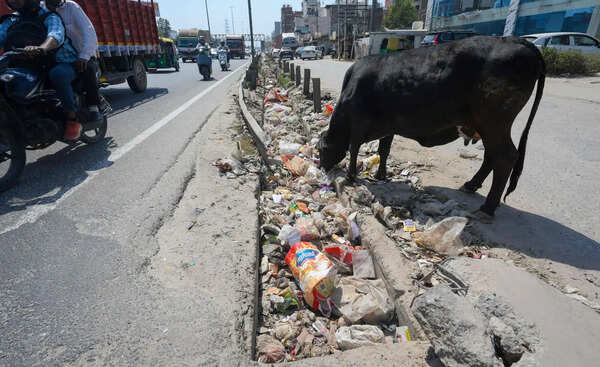Monsoon 2 months away, 350km of stormwater drains in Gurgaon still not cleared