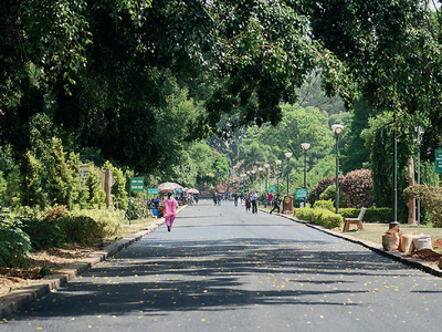 Bengaluru's Lalbagh to attract birds with right trees