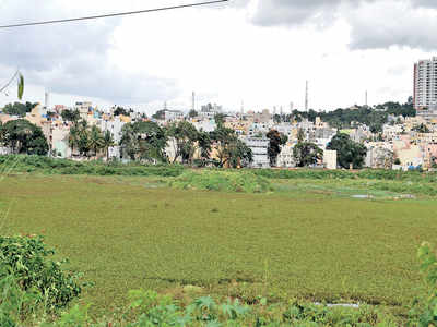 MLA asks Rs 100 crore for 2 lakes, gets Rs 10 crore