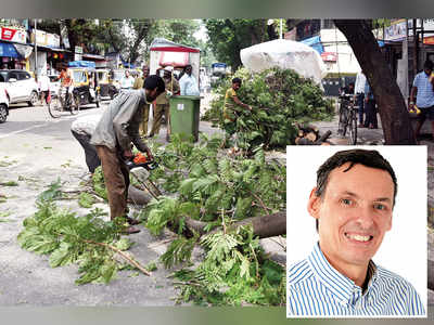 ‘Mumbai has very high tree-fall death ratio’