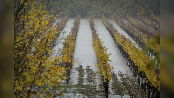 Life-threatening flooding expected in california as high winds hit northwest