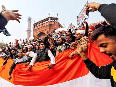 ‘What was most striking was the number of Indian flags held aloft’