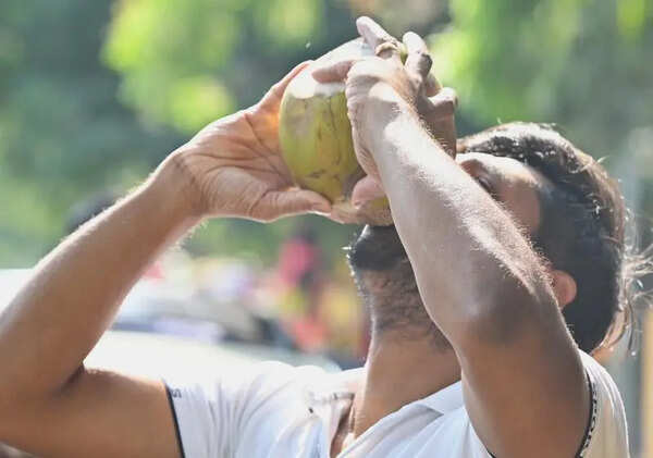 Summer scorcher in Belagavi as temperature crosses 39°C