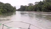 Assam Floods: 66 animals died after Kaziranga National Park submerges in water 