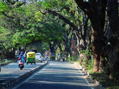 BM Simply Put: Bangalore Palace land dispute