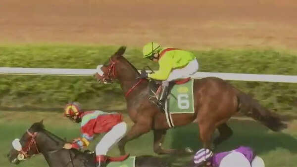 Your Unforgettable fancied for feature