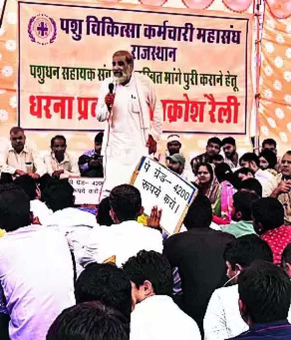 Vets on stir, Kamdhenu scheme hits roadblock