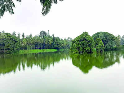 Lalbagh filled with joy