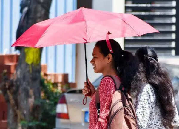 Bengaluru sizzles at 36.6°C again
