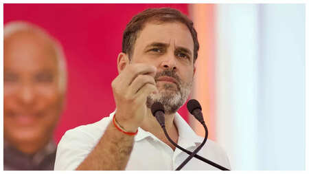 Congress appeals to voters in Rajasthan to exercise franchise, Rahul Gandhi says vote for 'govt of guarantees'