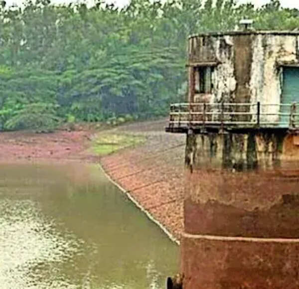 In Kaimur tribal belt, tying knot depends on rains