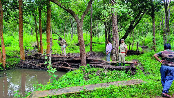 Experts may prepare master plan to preserve BTR’s eco-sensitive zone
