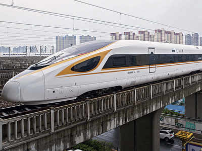 Bullet train will eat up forest land the size of 218 football fields