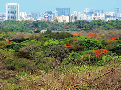 Metro Car Shed at Aarey: Experts appointed to the BMC’s Tree Authority voted for cutting the trees