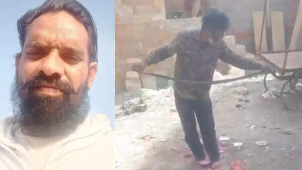 Snake rescuer dies after cobra bites him 3 times during rescue attempt in Rajasthan