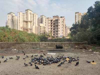 Maharashtra: Over 15 birds found dead in Thane