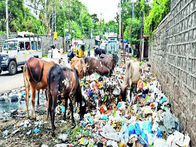 Kannur plant to recycle meat waste into pet food