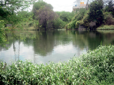 BBMP to start removal of weeds from 20 lakes soon