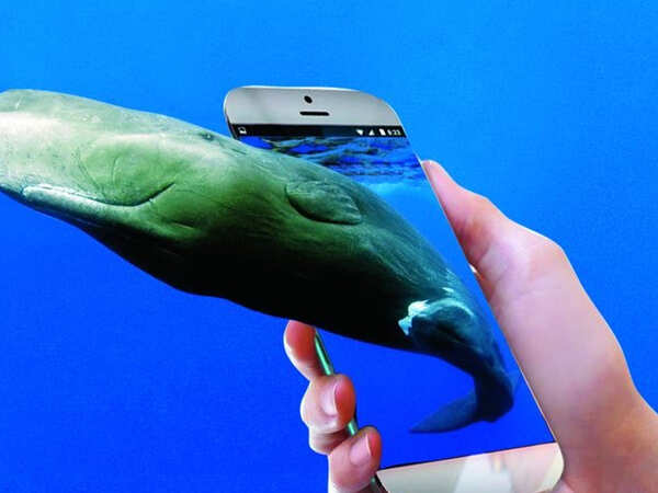 Blue Whale: It's not a videogame