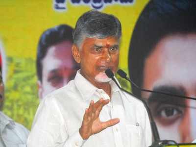 N Chandrababu Naidu: I will beg to raise money for fighting false cases against TDP cadres