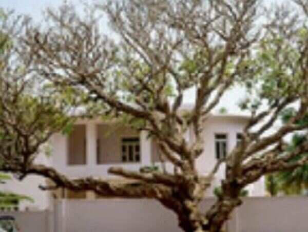 On the trail of a Mysore that cast a spell on RK Narayan