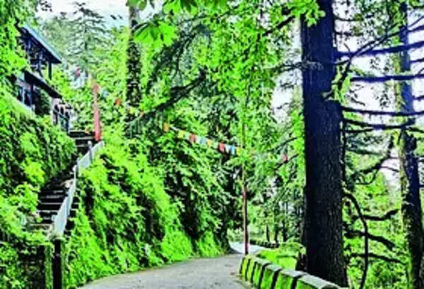 Locals oppose merging of Landour cantonments with municipality