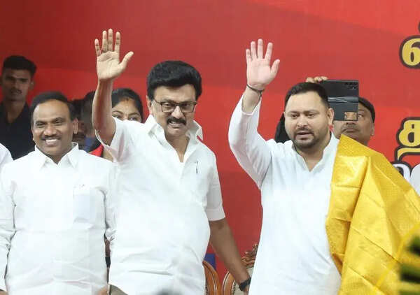 Tamil Nadu being governed on principles of social justice: Tejashwi Yadav