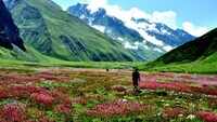 Uttarakhand’s Valley of Flowers opens for tourists 