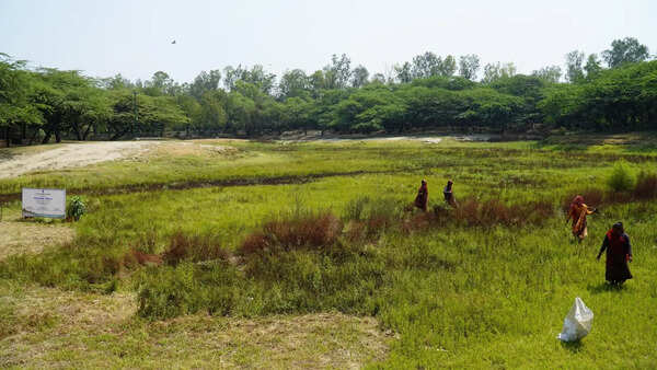 DDA starts recharging 101 waterbodies