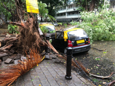 59 instances of trees falling reported in Mumbai and suburbs; 39 instances of electrical short circuit