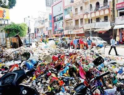 garden city bengaluru: The Garden City Bengaluru falls to 210 in Swachh ...
