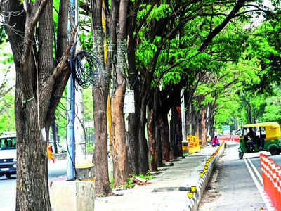 Lesser green: 9,703 trees gone in 3 years