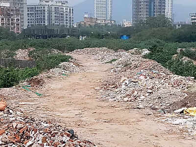 ‘Bhandup wetland 4 metres under debris’