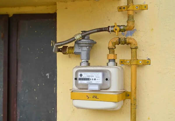 Gas cos double workforce as PNG connection demand surges in Guj
