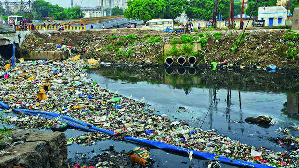 Rivers national assets, need to be protected: SC