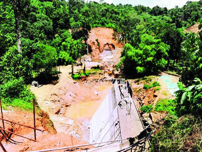 Forest land sacrifice for water project: Bad idea