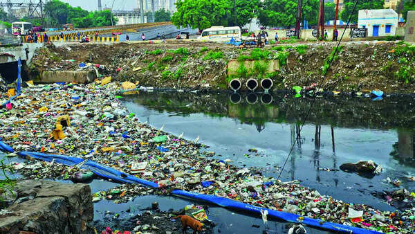 SC amicus proposes nodal agency, crossstate action plan to clean Yamuna