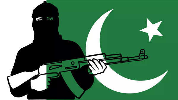 Why Pakistan’s ‘rogue actor’ persona is attractive to many countries