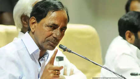 Telangana assembly polls: Some families 'more equal than others' for political parties, given two tickets
