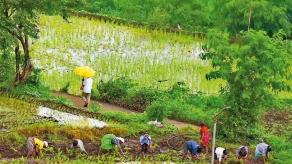 AI rainfall forecast system to give UP farmers, disaster managers 10 day local weather alerts