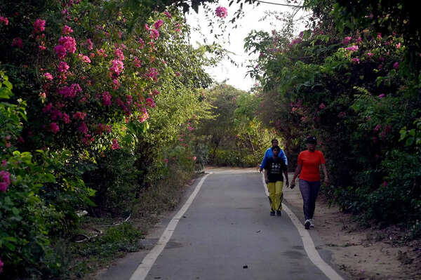Why this forest is the hottest area in Delhi