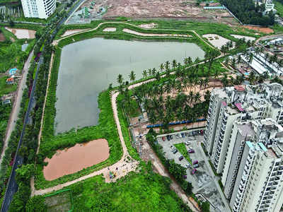 Green act: Lake brought back to life