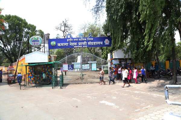 Indore Zoo takes strides in conservation breeding