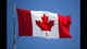 They are not illegal aliens: 12 Indians involved with 'criminal tourism' in Canada, they came to steal